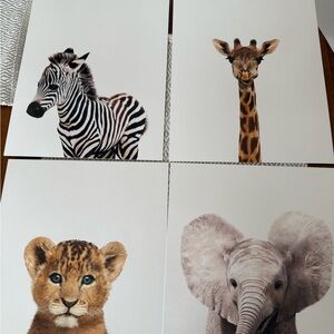 Animal Art Print Set